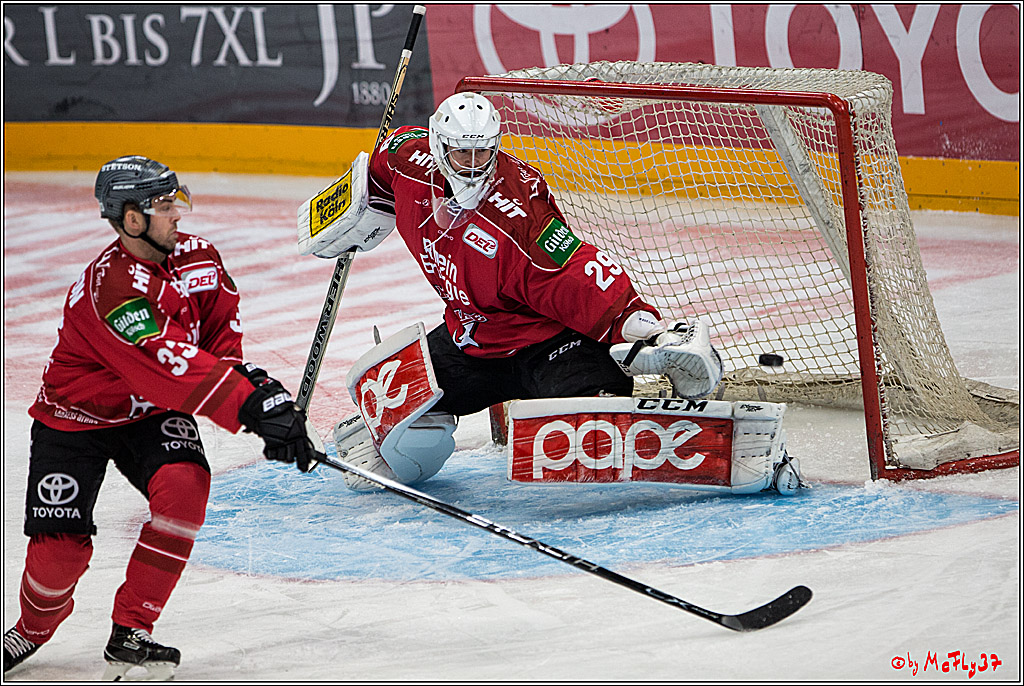 Koelner Haie - Nuernberger Ice Tiger, 04.12.2016